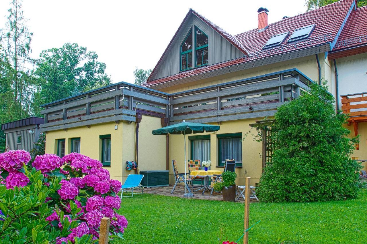 Ferienwohnung Oberloschwitz Dresden Exteriör bild